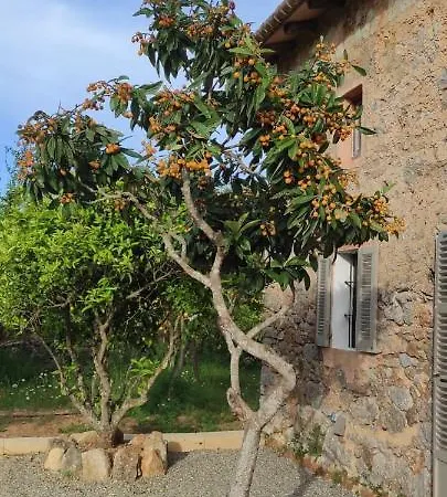 Sa Riba, In Mallorca * Son Carrio (Llevant)
