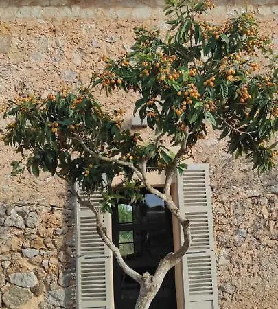 Sa Riba, In Mallorca Holiday home Son Carrio (Llevant)
