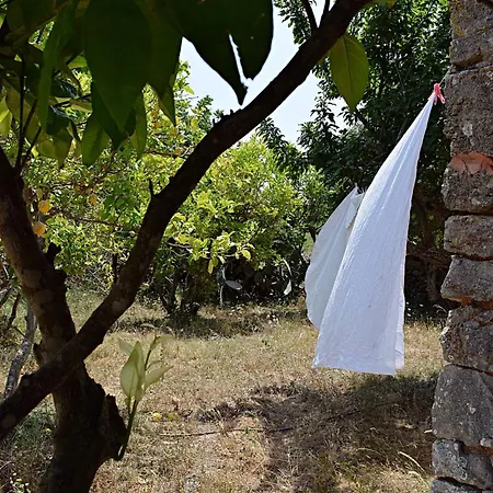 Sa Riba, In Mallorca Holiday home *