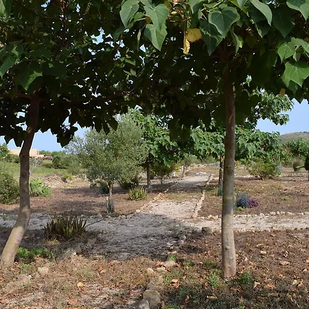 Sa Riba, In Mallorca *