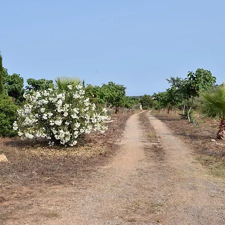Sa Riba, In Mallorca Son Carrio (Llevant)