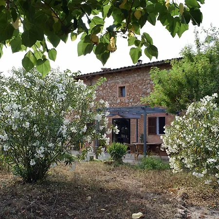 Sa Riba, In Mallorca Son Carrio (Llevant)