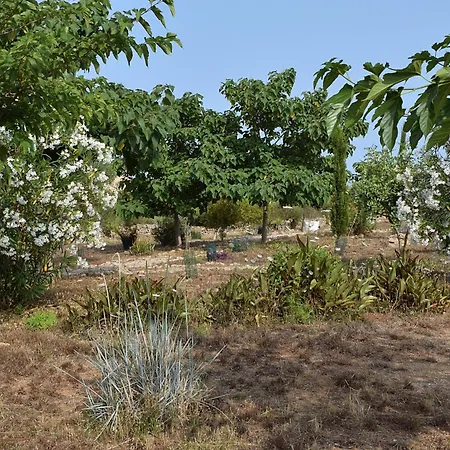 Holiday home Sa Riba, In Mallorca *